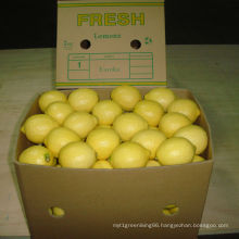 Exported Quality of Chinese Fresh Lemon/